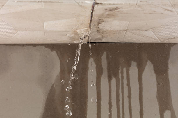 Professional Flood Damage Cleanup technician working in Davey, NE